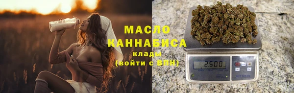 прущие крисы Ельня