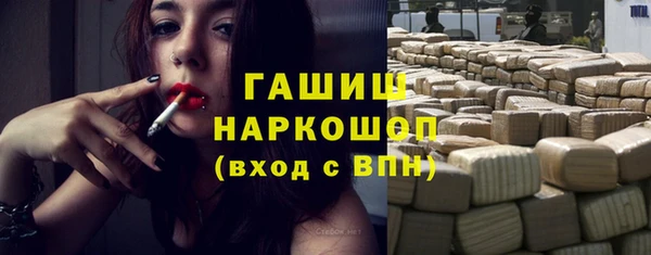 крисы Корсаков