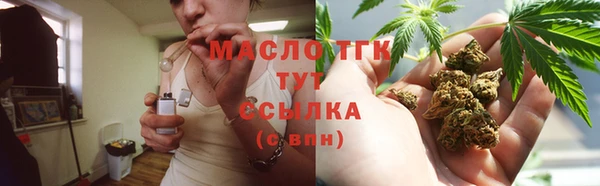 прущие крисы Ельня