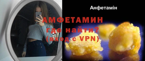прущие крисы Ельня