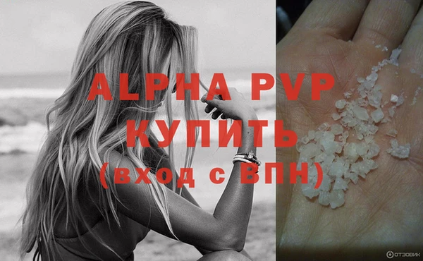 прущие крисы Ельня