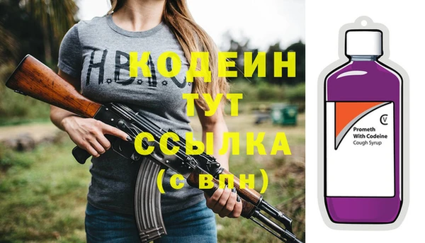 прущие крисы Ельня