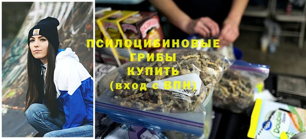 прущие крисы Ельня