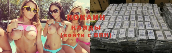 прущие крисы Ельня