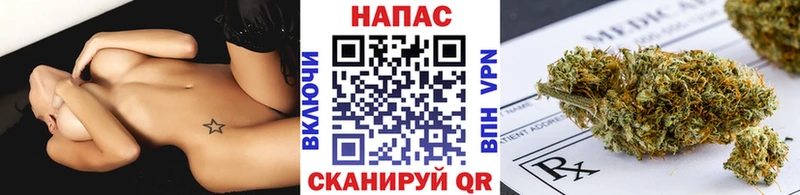Бошки Шишки план  Змеиногорск 